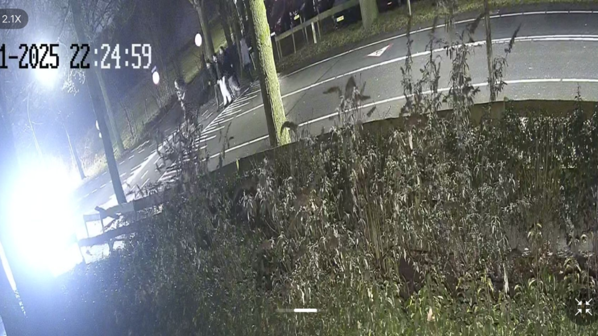 20260102 attractiepark de waarbeek vandalisme foto kevin moespot 3