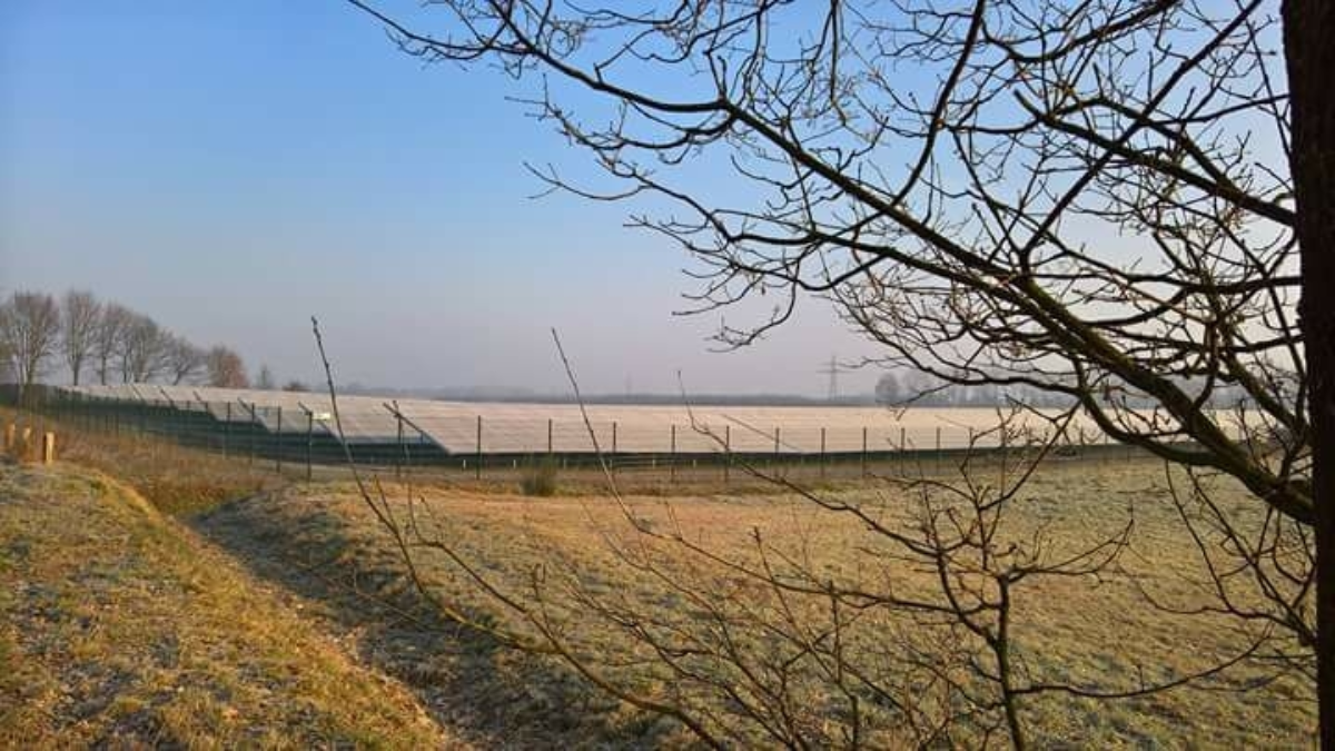 Wierden de Groene Weuste