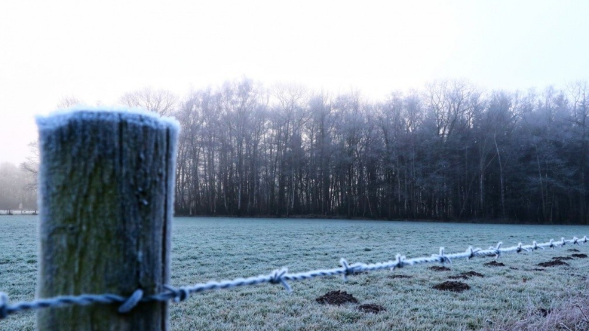 Losser beijzeld buitengebied