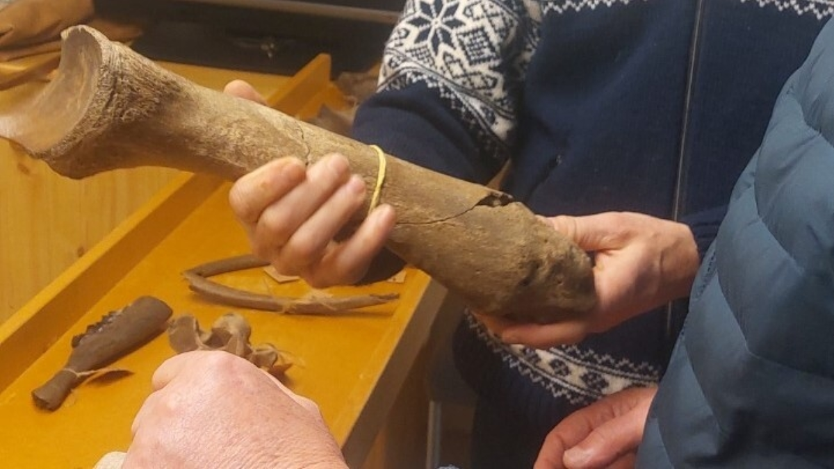 Neanderthalers in Losser 04