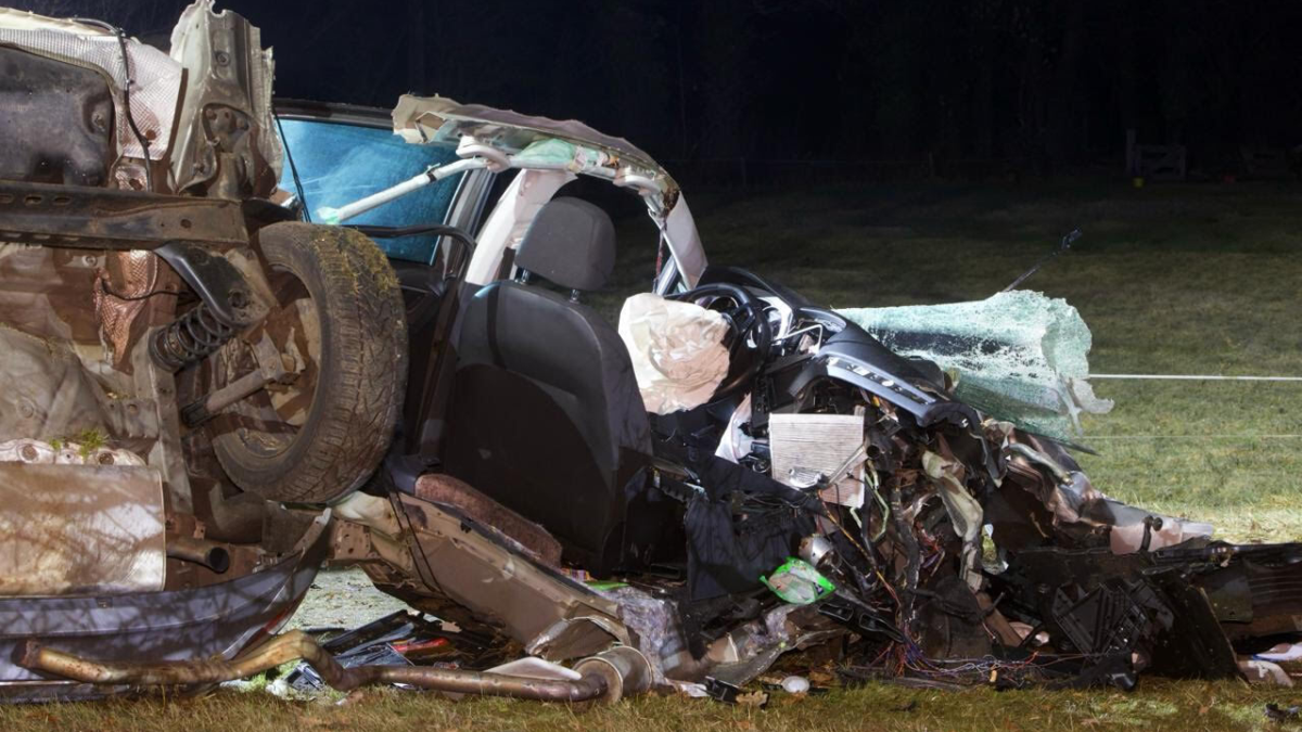 Dinkelland 20260210 02