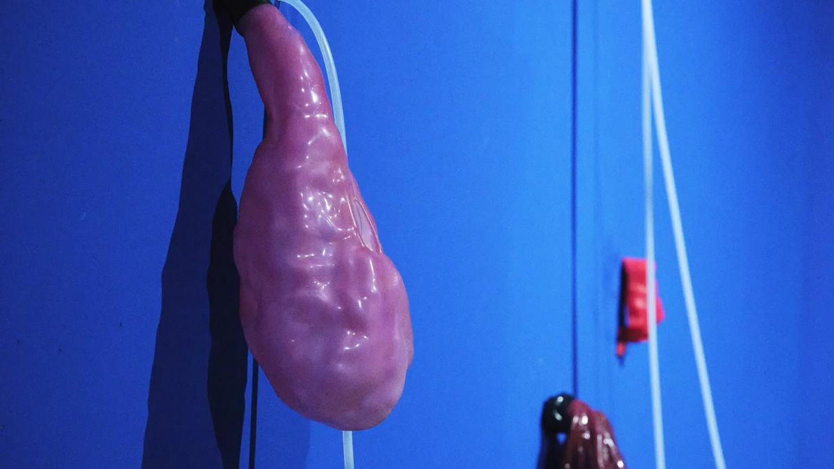 Tetem Operation Theater Opening Tessa Wiegerinck DSF1308 fullsize 2048x1365