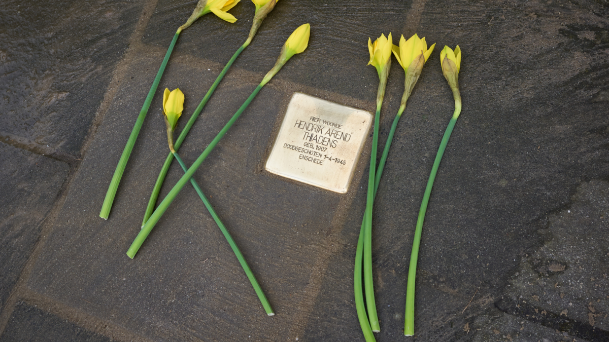 Struikelsteen - Thiadens