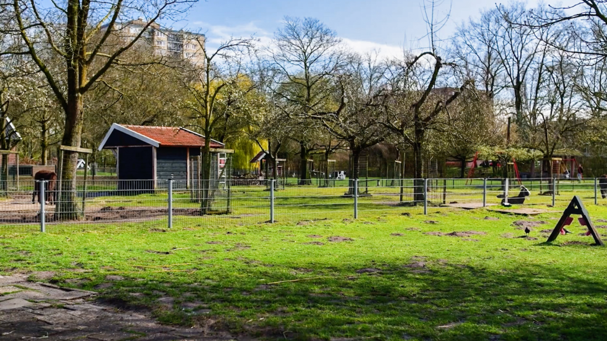 20260401 kinderboerderij enschede noord 02