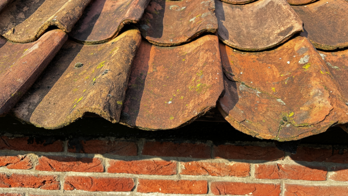 20260411 boerenerven twickel herbestemmen erve groot buren IMG 1646