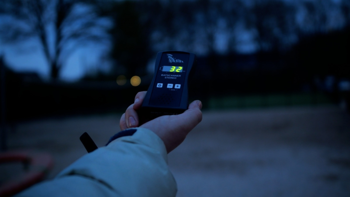 Hand Meetapparatuur Vleermuizen