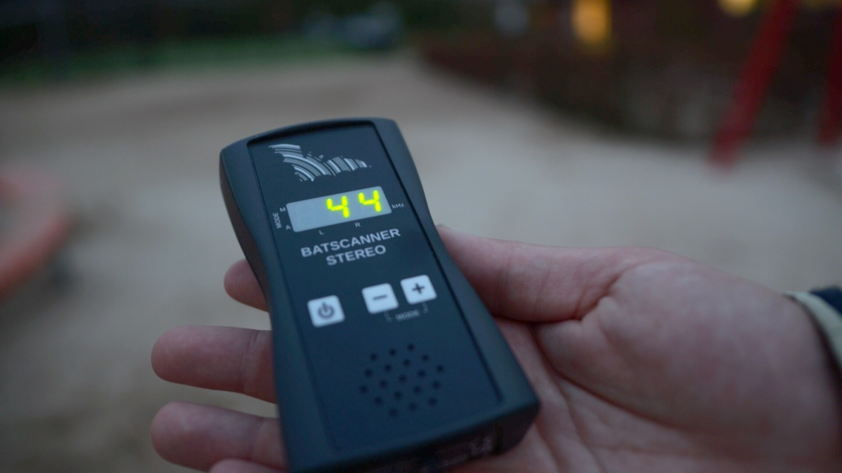 hand Meetapparatuur Vleermuizen