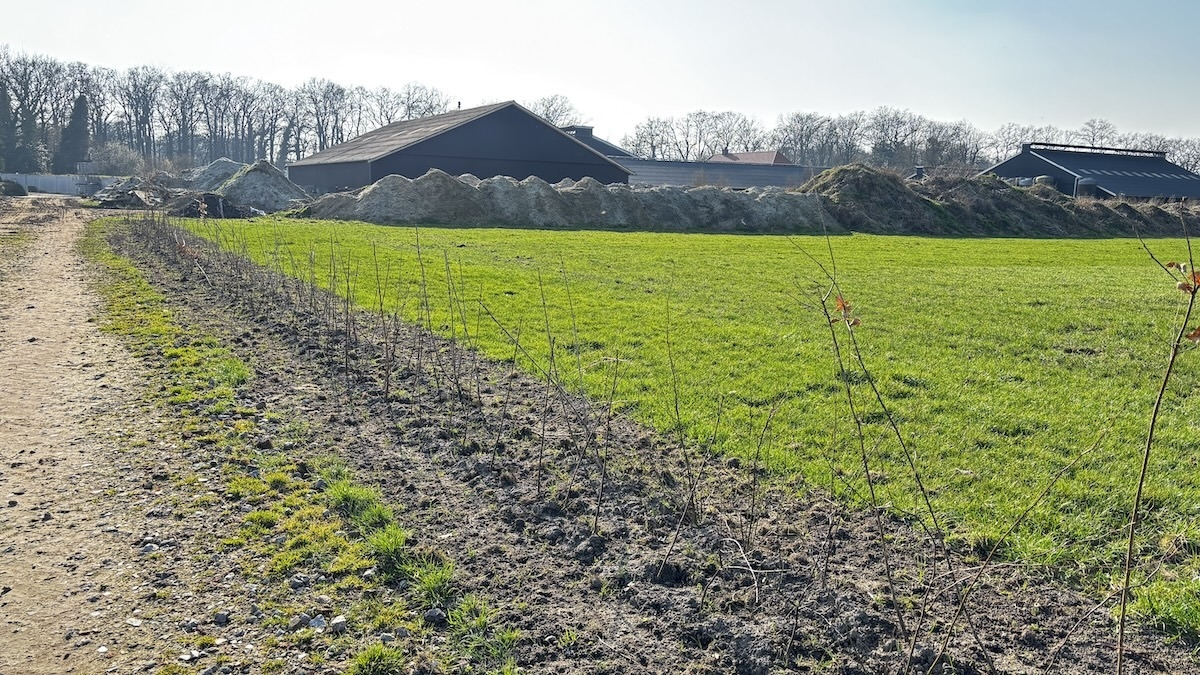 20260311 twickel houtwallen koepad IMG 1621