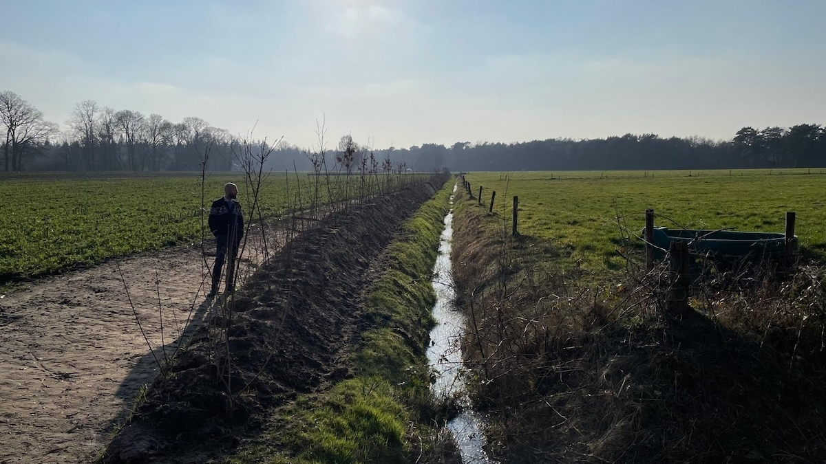 20260311 landgoedtwickel houtwallen 4312 gerda minkjan