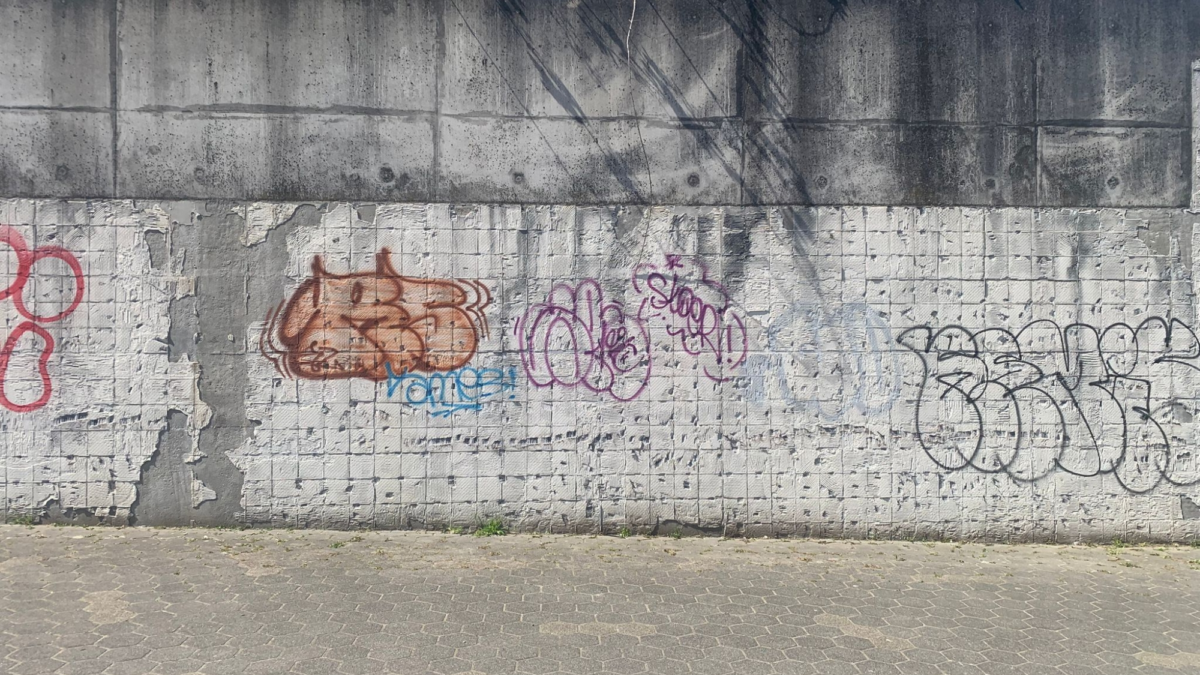 Foto velourstunnel 1 1twente 2026