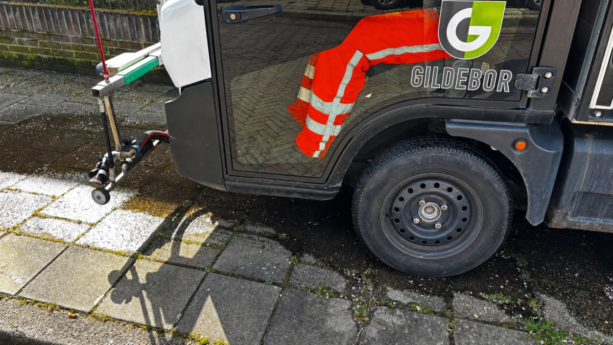 20270428 gildebor onkruid stoom IMG 1949a