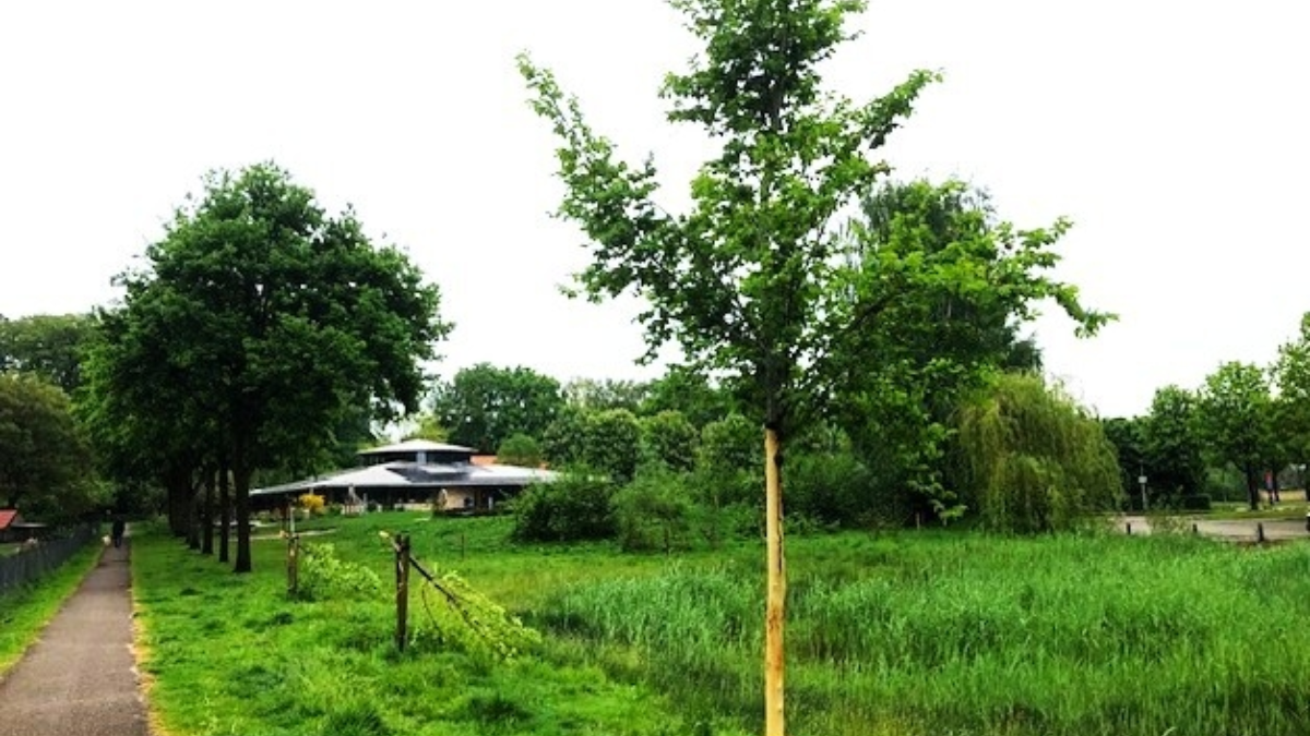 Bomen geknakt 2