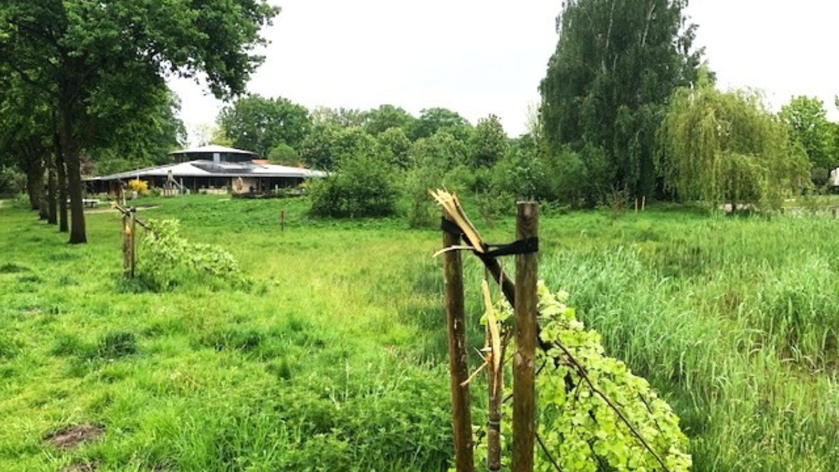 Bomen geknakt 3