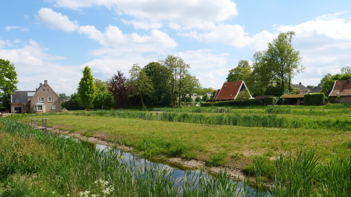 De Bleek Losser