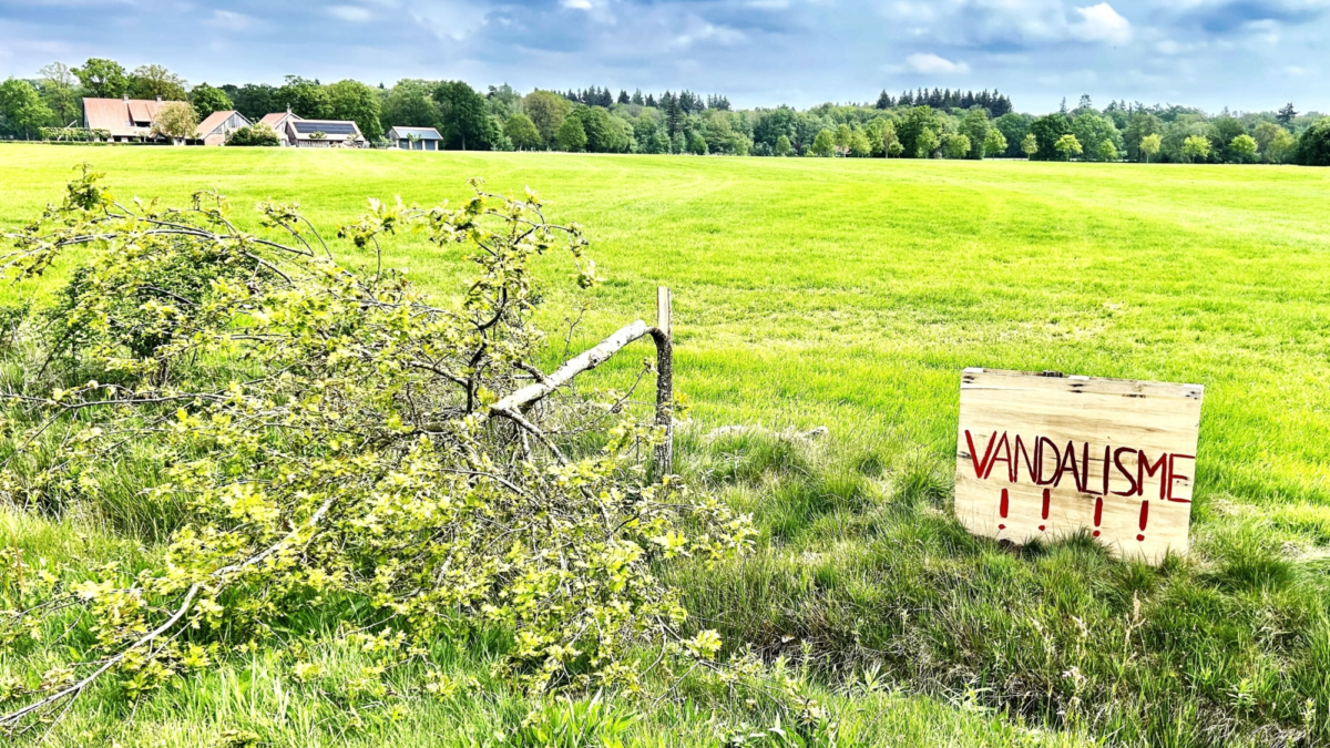 Boomvandalisme Denekamp