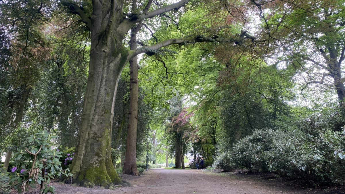 2026 Volkspark Enschede 5