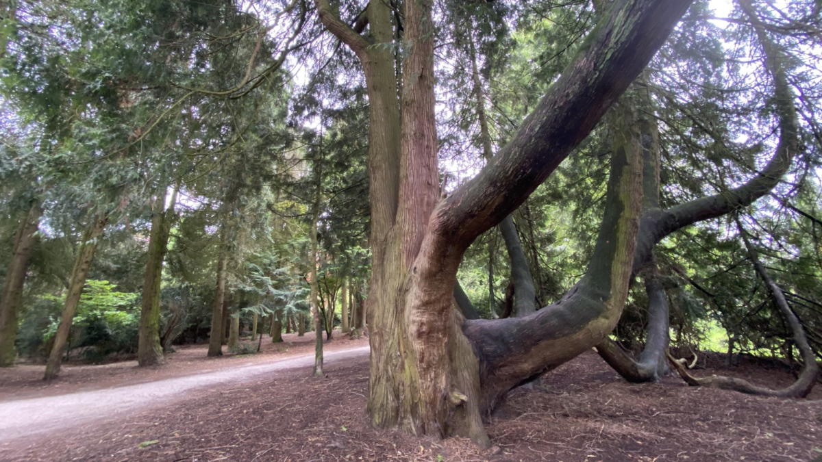 2026 Volkspark Enschede 3