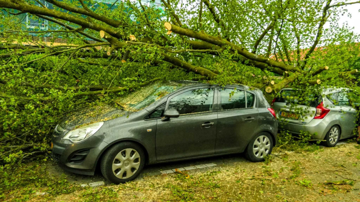 20260529 stormschade malangstraat enschede boom waait op auto