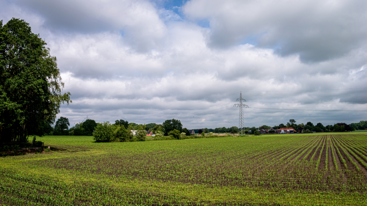 DEURNINGEN WIEFFER 20260603 1025246