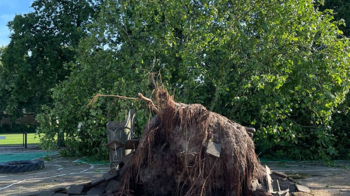 20260620 hengelo stormschade 4 foto gerda minkjan