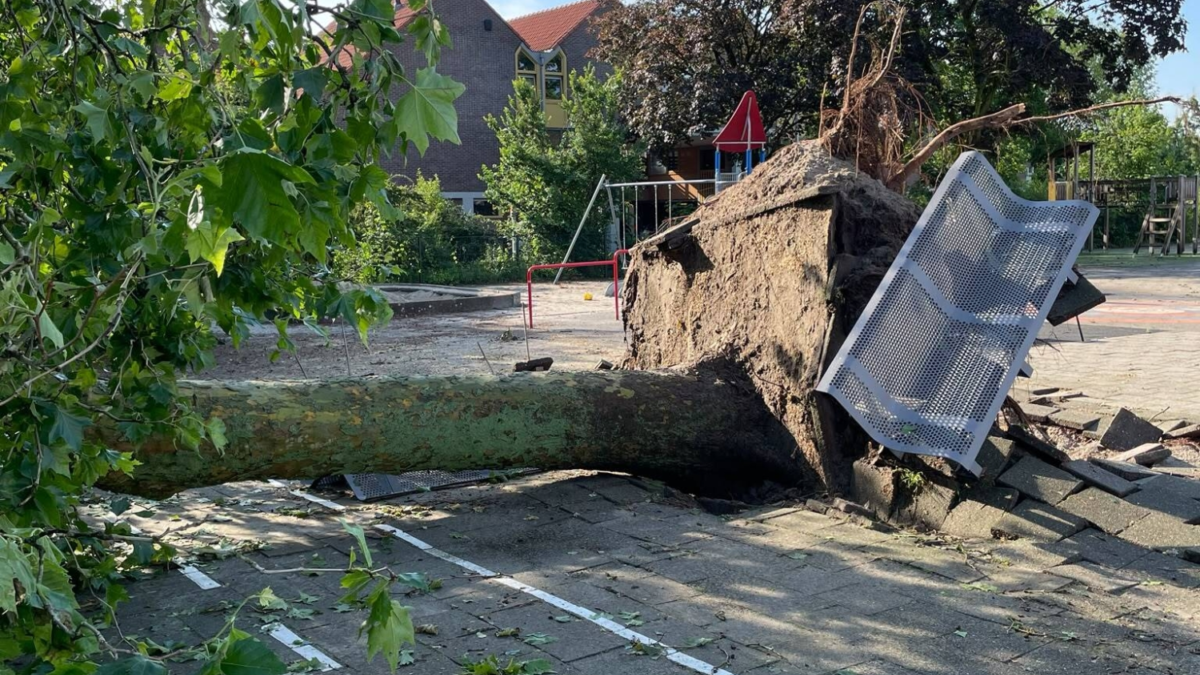 20260619 hengelo stormschade 1 foto gerda minkjan
