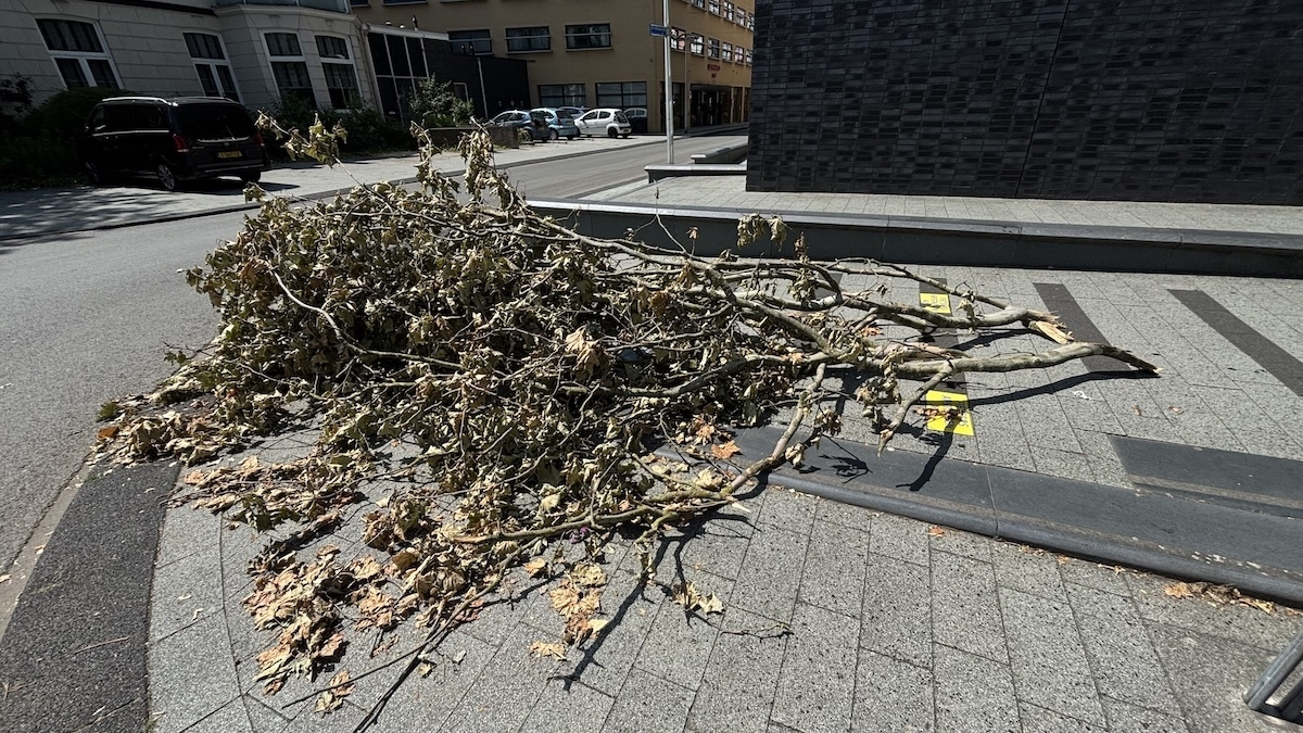 IMG 3672 stormschade tak beursstraat1