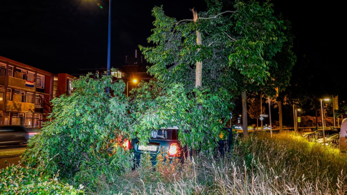 botsing - ongeluk - auto - boom - Oliemolensingel