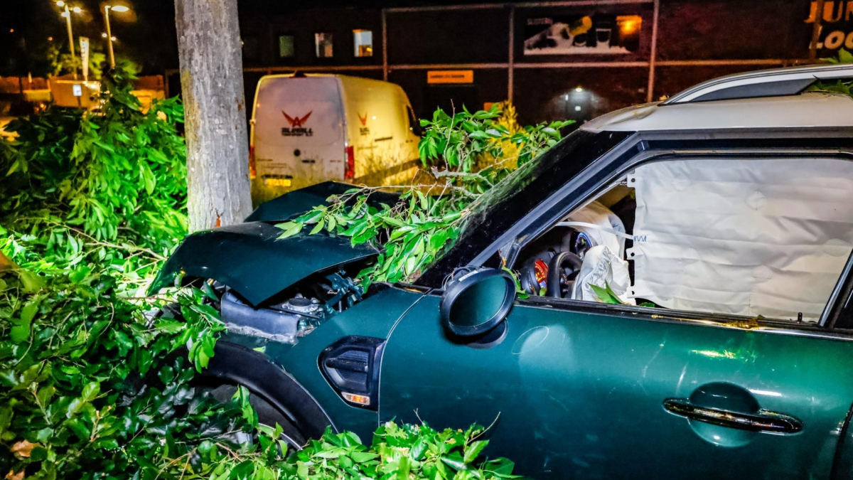 auto - botsing - boom - ravage