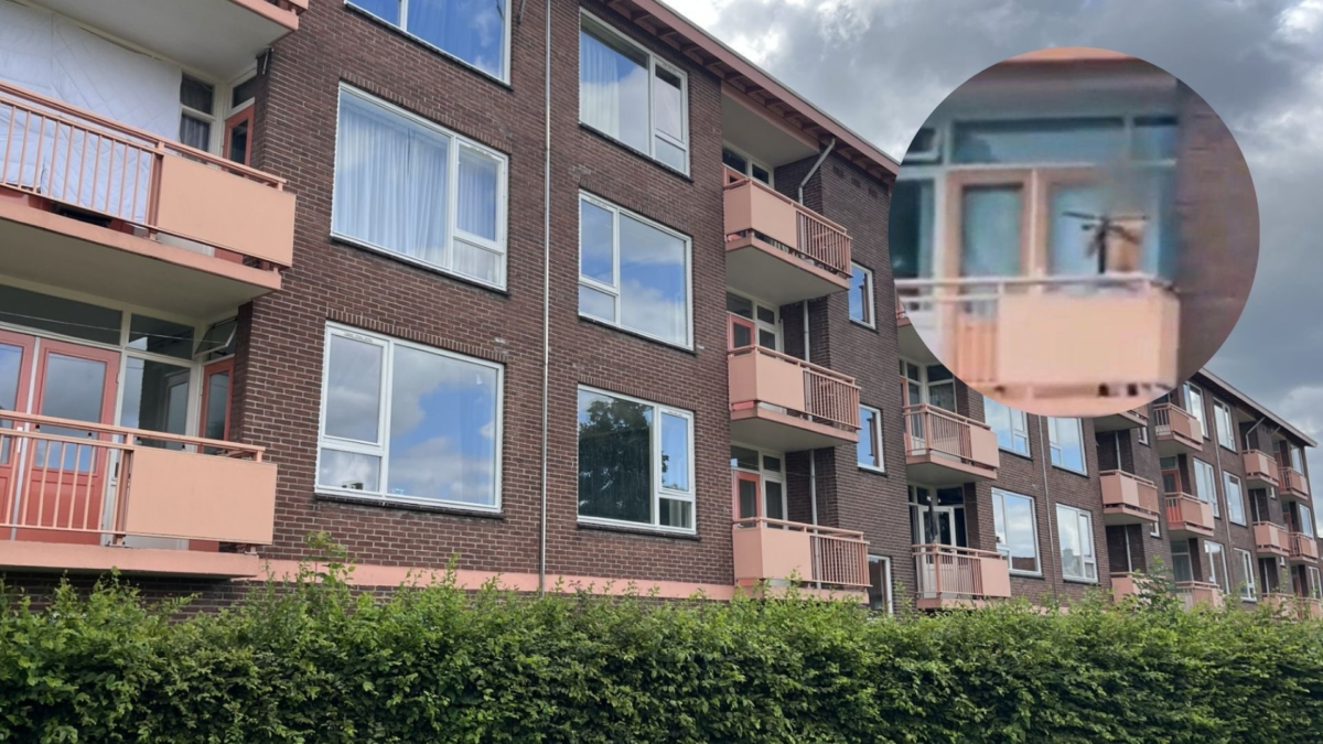 20260703 kruisboogschutter kenzo k