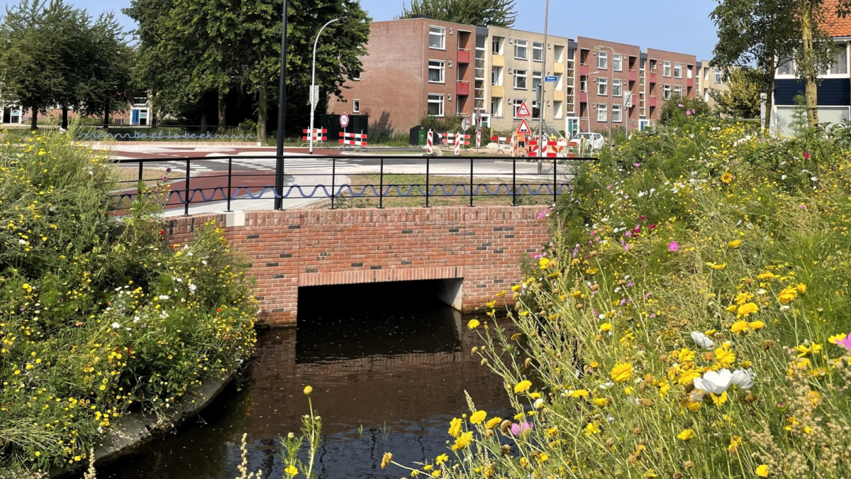 260000 foto bankastraat met beek 2024 gerda minkjan