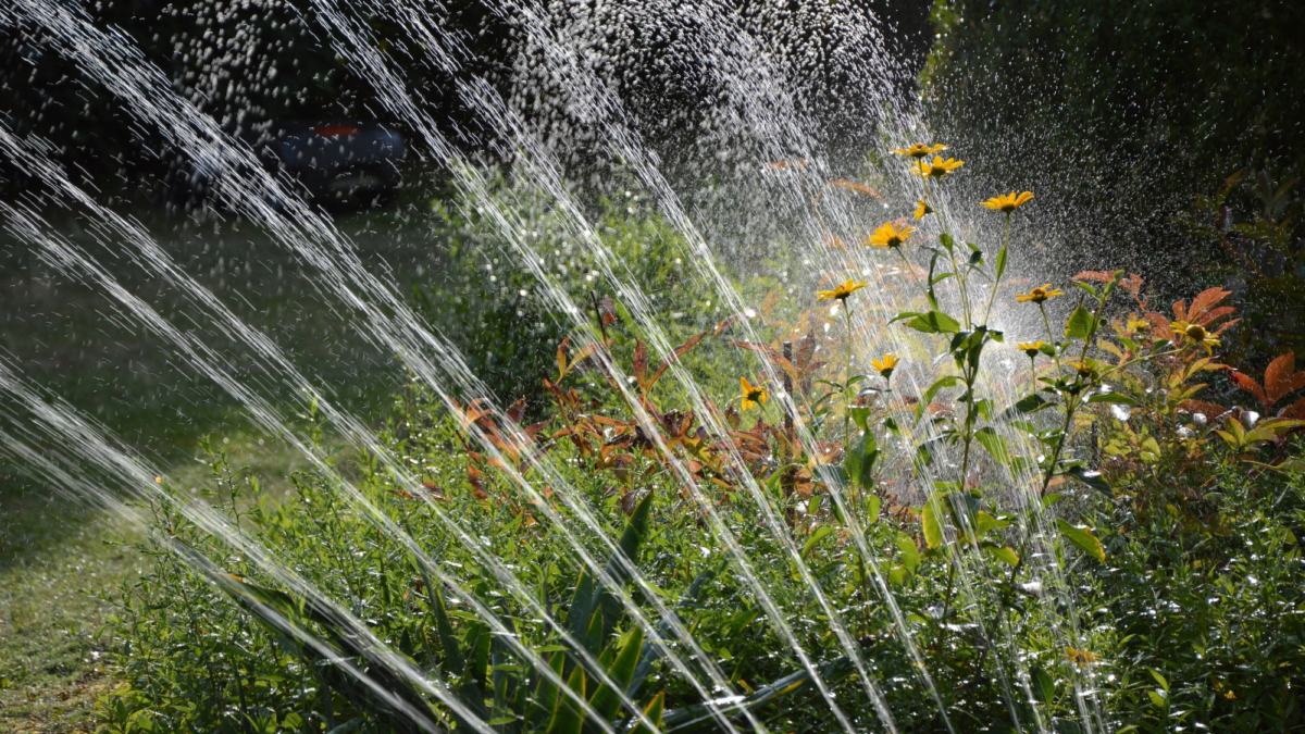 Peggychoucair garden 3664278