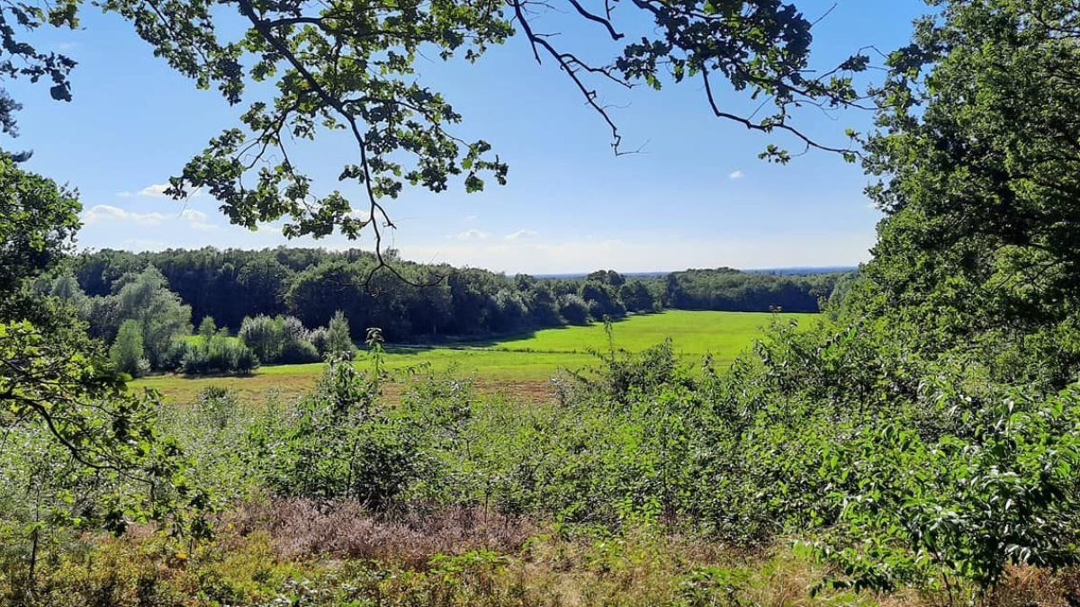 Focus op leefbaarheid coulissenlandschap