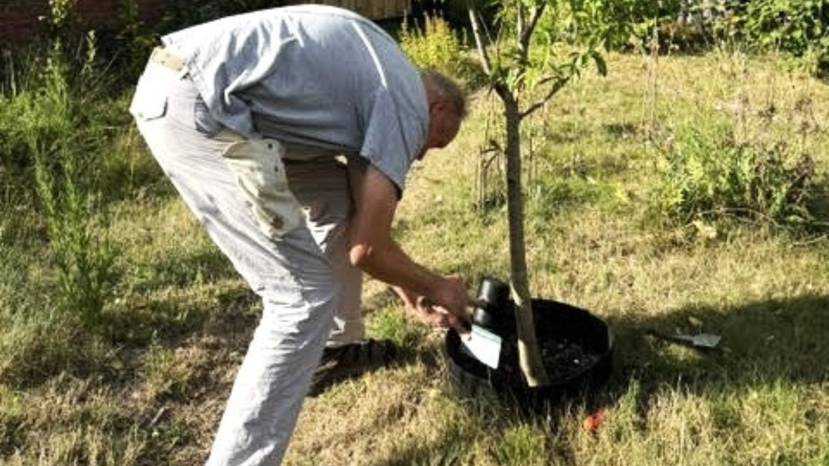 Glindebos educatie