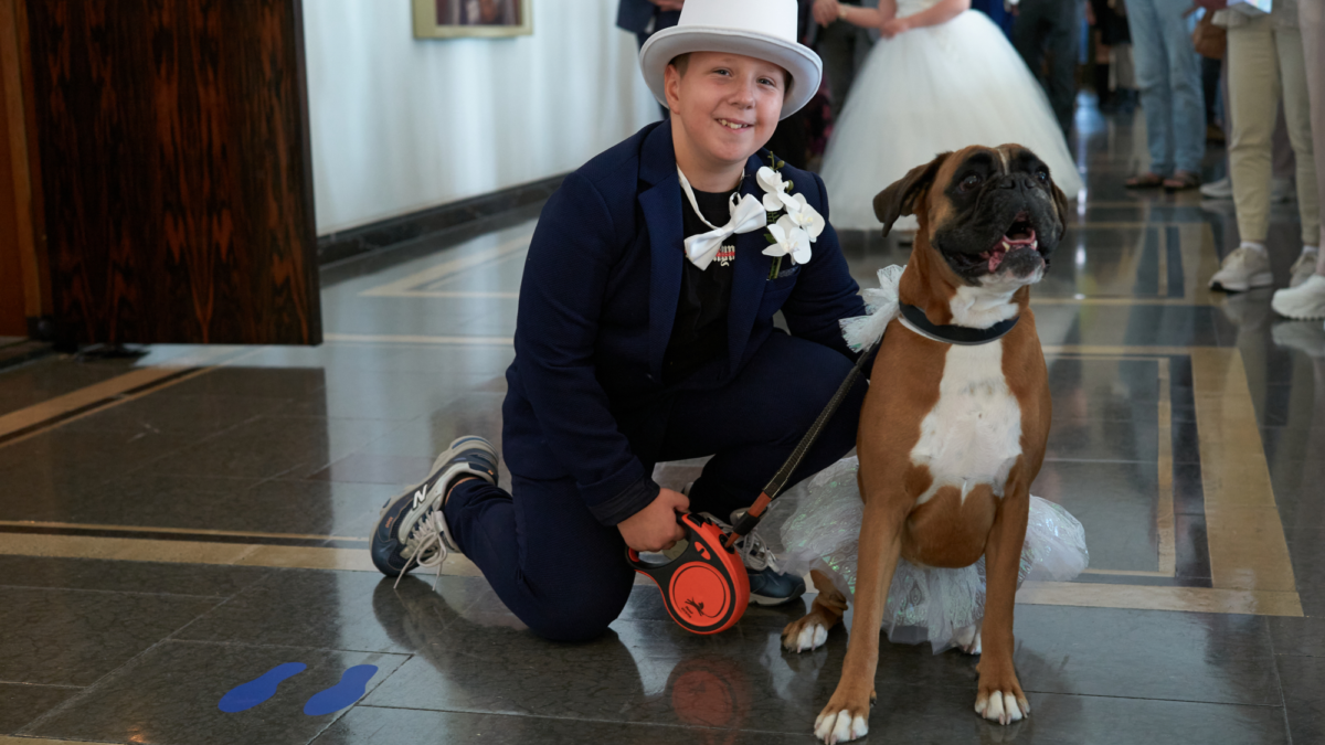 Bruidegom - jongen - hoge hoed - boxer - hond - stadhuis