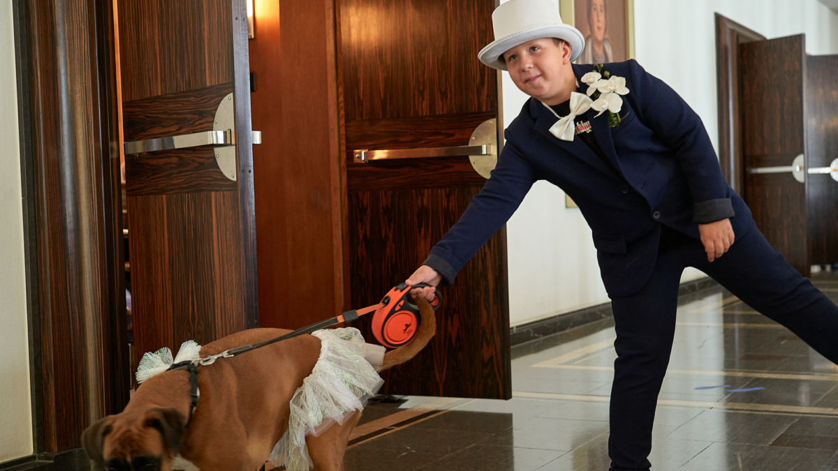 Bruidegom - jongen - hoge hoed - boxer - hond - stadhuis