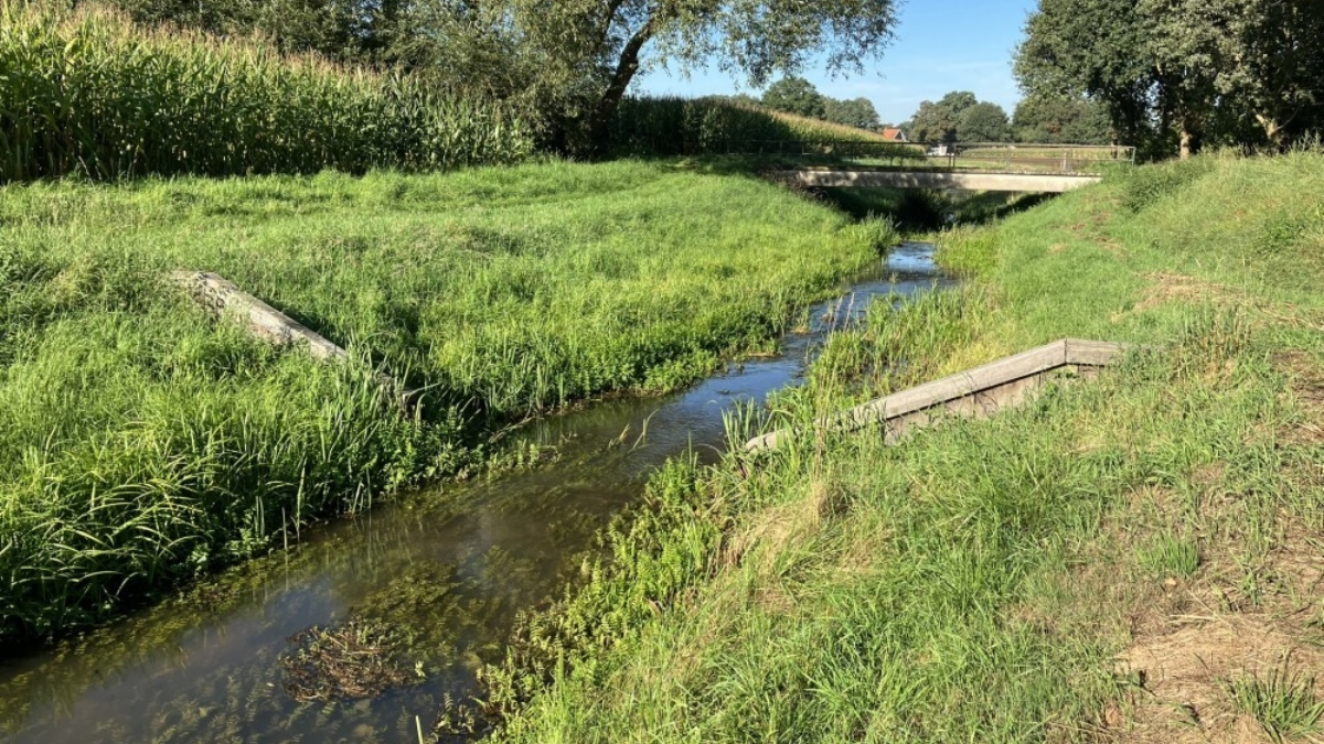 Vechtstromen geelebeek 2 1