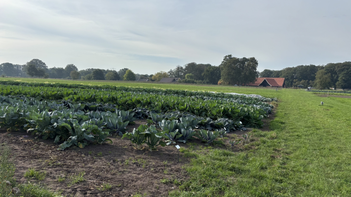 20260923 herenboerderij oale esch borne akker IMG 5300