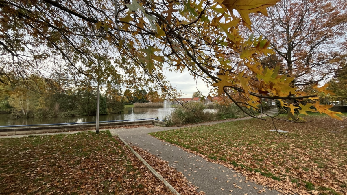 Goossenmaatpark Almelo