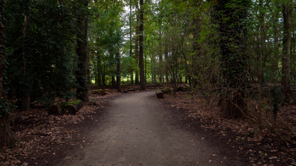 Wesselerbrinkpark geen verlichting