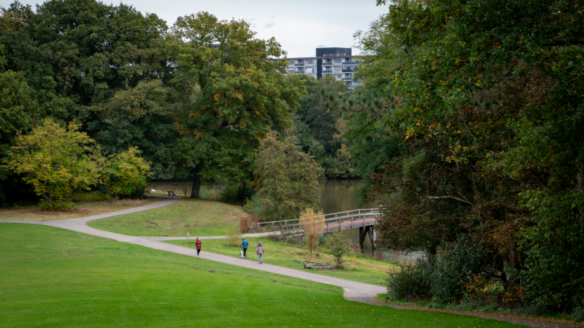 Wesselerbrinkpark vanaf de bult