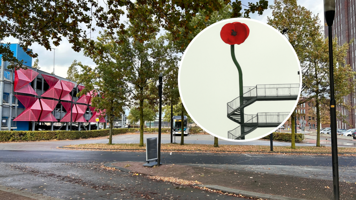 De nieuwe plek van de klaproos