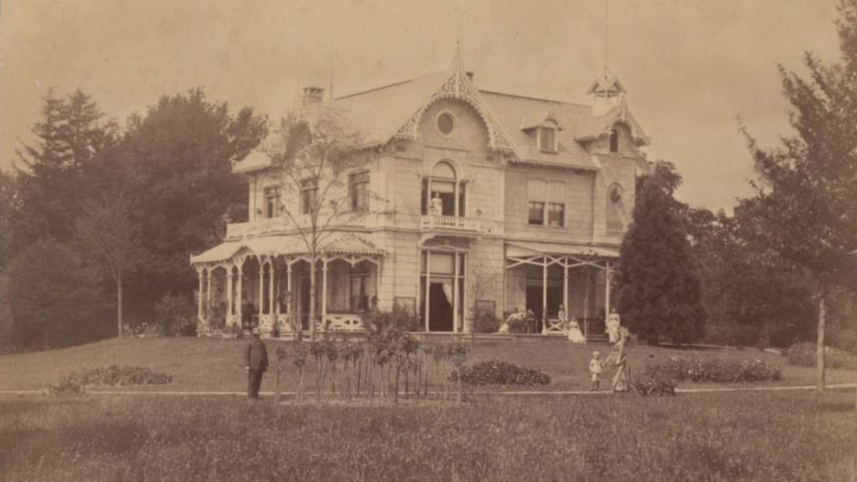 Het Wagelaar - Het Wageler 1887 - mammoetboom