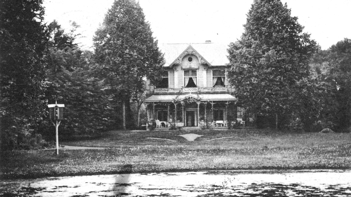 Het Wageler - Het Wagelaar 1913 - Ledeboerpark - mammoetboom