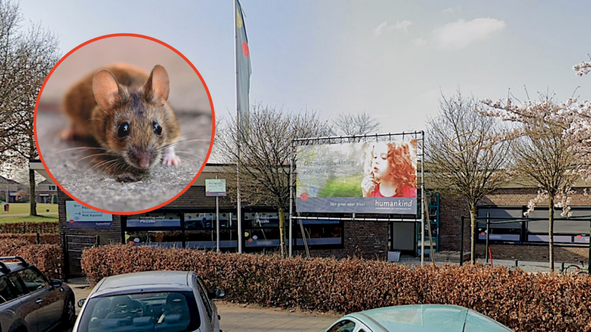 Kinderopvang Piccolo muizenoverlast Google Maps en Pixabay