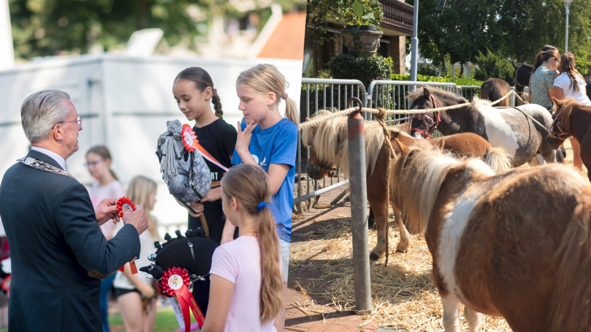 PAARDENMARKT ENTER 20250807