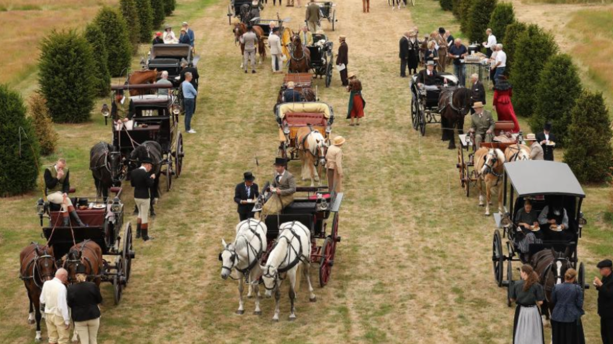 Diverse koetsen platteland