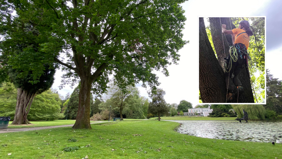 Volkspark NK Boomspecialisten 2026 aankondiging