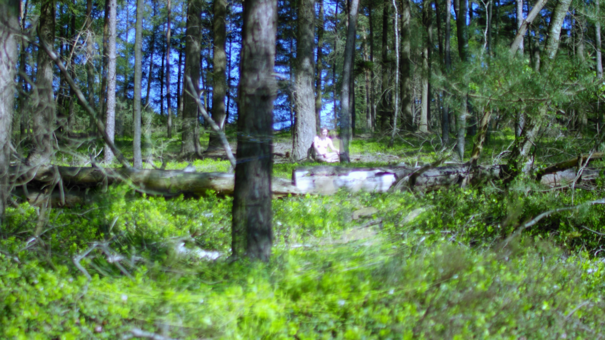 Walkingin Orgaan Sund Sep Friesema Still