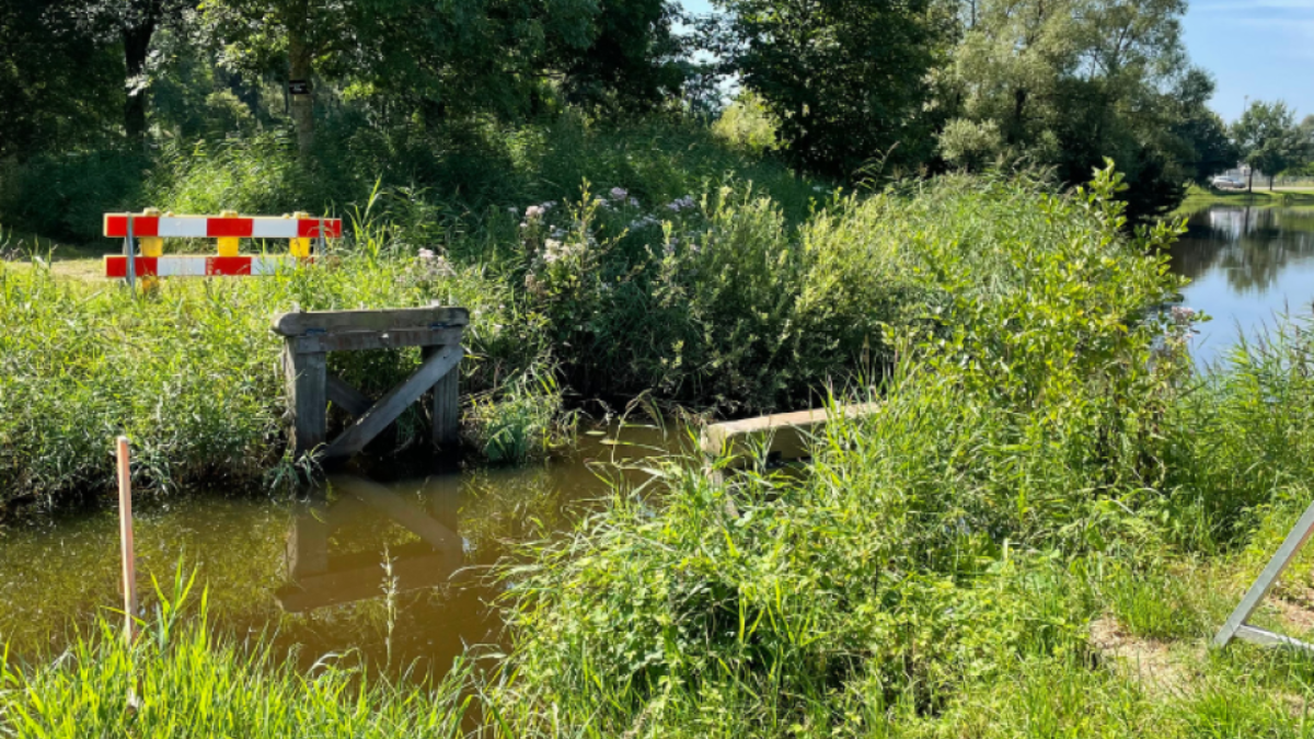 Voetgangersbrug de waarf enter