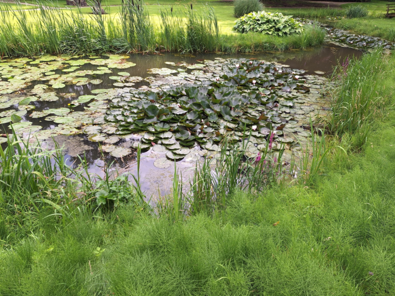 Plechelmus Saasveld buiten 03